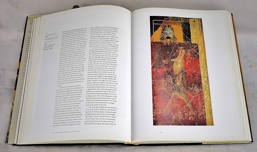 Illusion in Art　Trompe l'Oeil, a History Illusion in Art: Trompe L'Oeil : A History of Pictorial